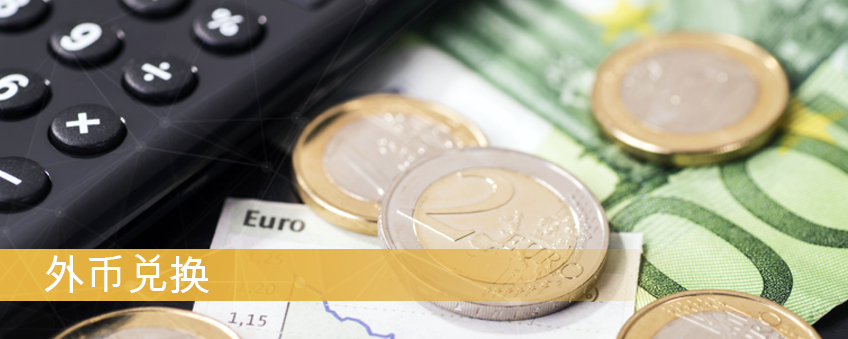 Foreign Currency Exchange
