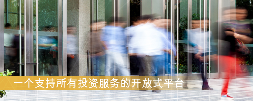 General Investment Services